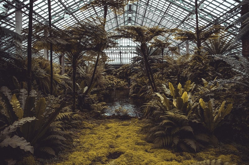 Indoor Conservatory