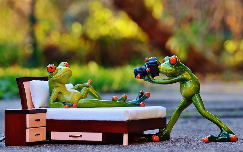 Nature-inspired Shoots